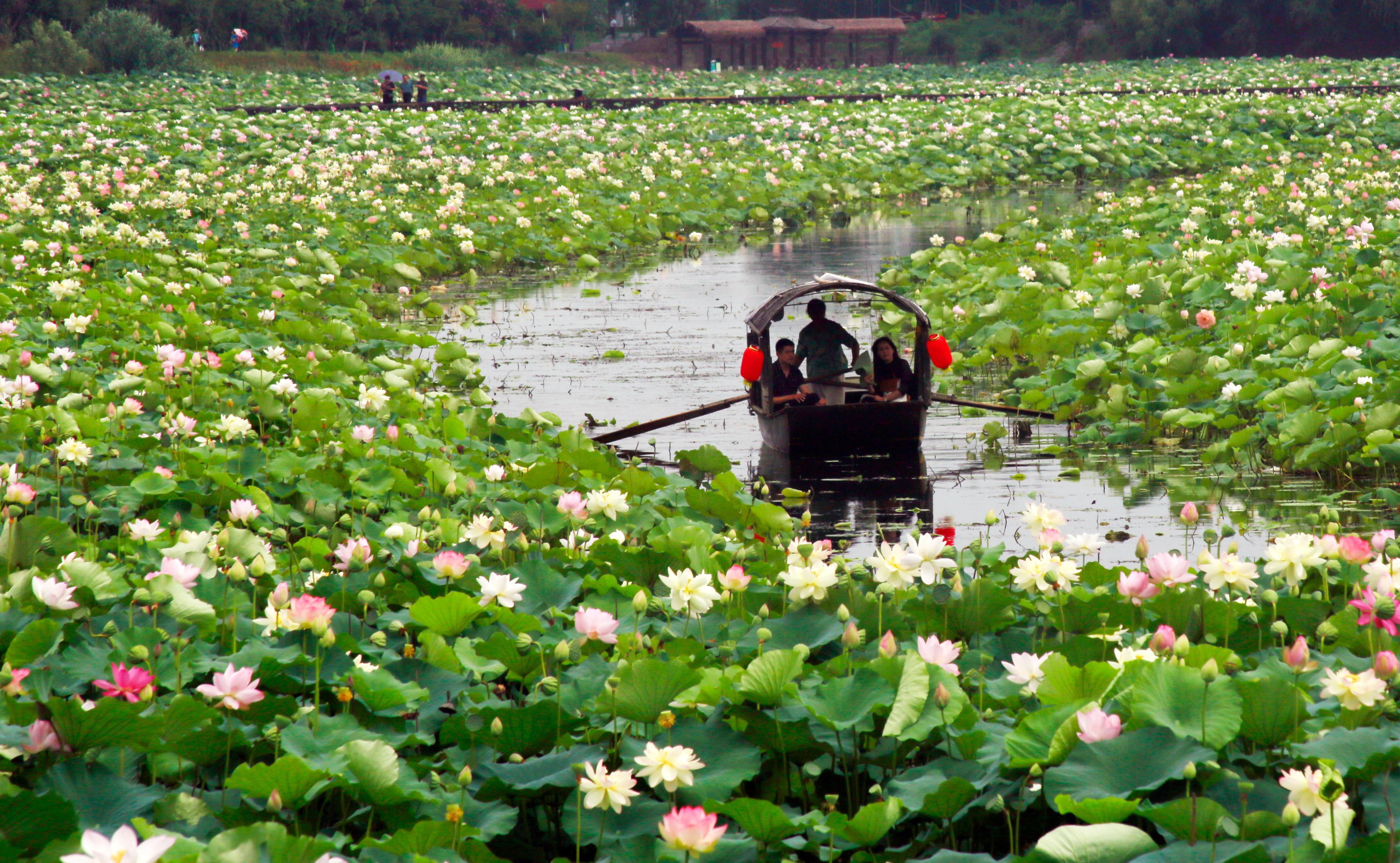 焦岗湖——Hu Feng.jpg