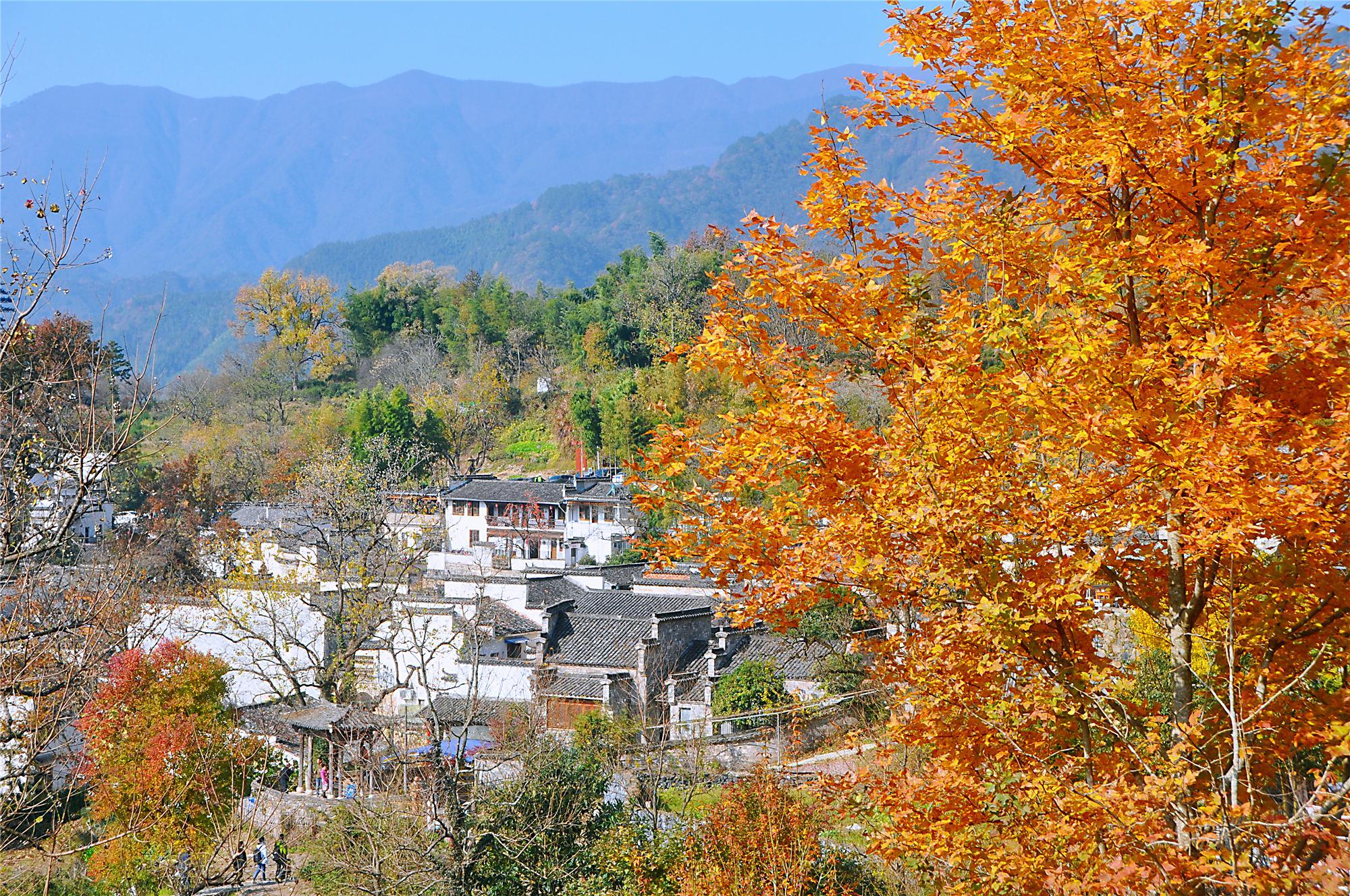 塔川——Zhu Guangming.jpg